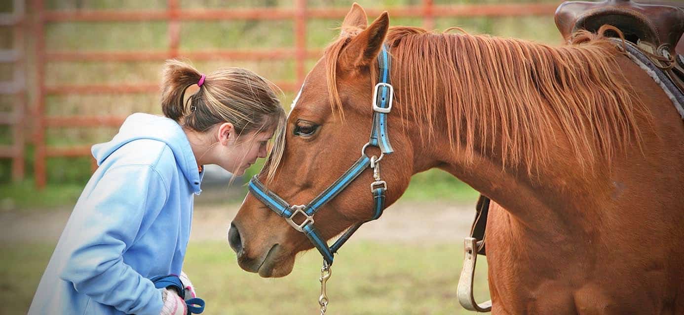 Why Equine Therapy Works for Mental Health Treatment